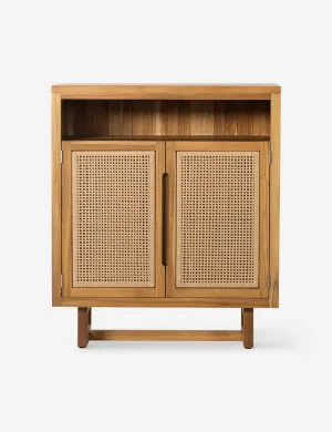 Anson Indoor / Outdoor Cabinet Lulu and Georgia
