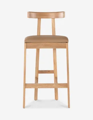 Ayvn Bar And Counter Stool Lulu and Georgia