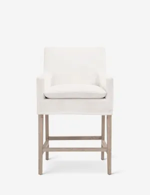 Gabi Counter Stool Lulu and Georgia