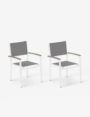Hermes Indoor / Outdoor Dining Chair (Set of 2) Lulu and Georgia