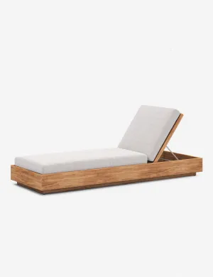 Minnette Indoor / Outdoor Chaise Lulu and Georgia