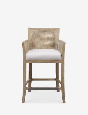 Quincey Counter Stool Lulu and Georgia