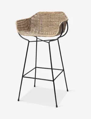 Tammy Bar Stool Lulu and Georgia